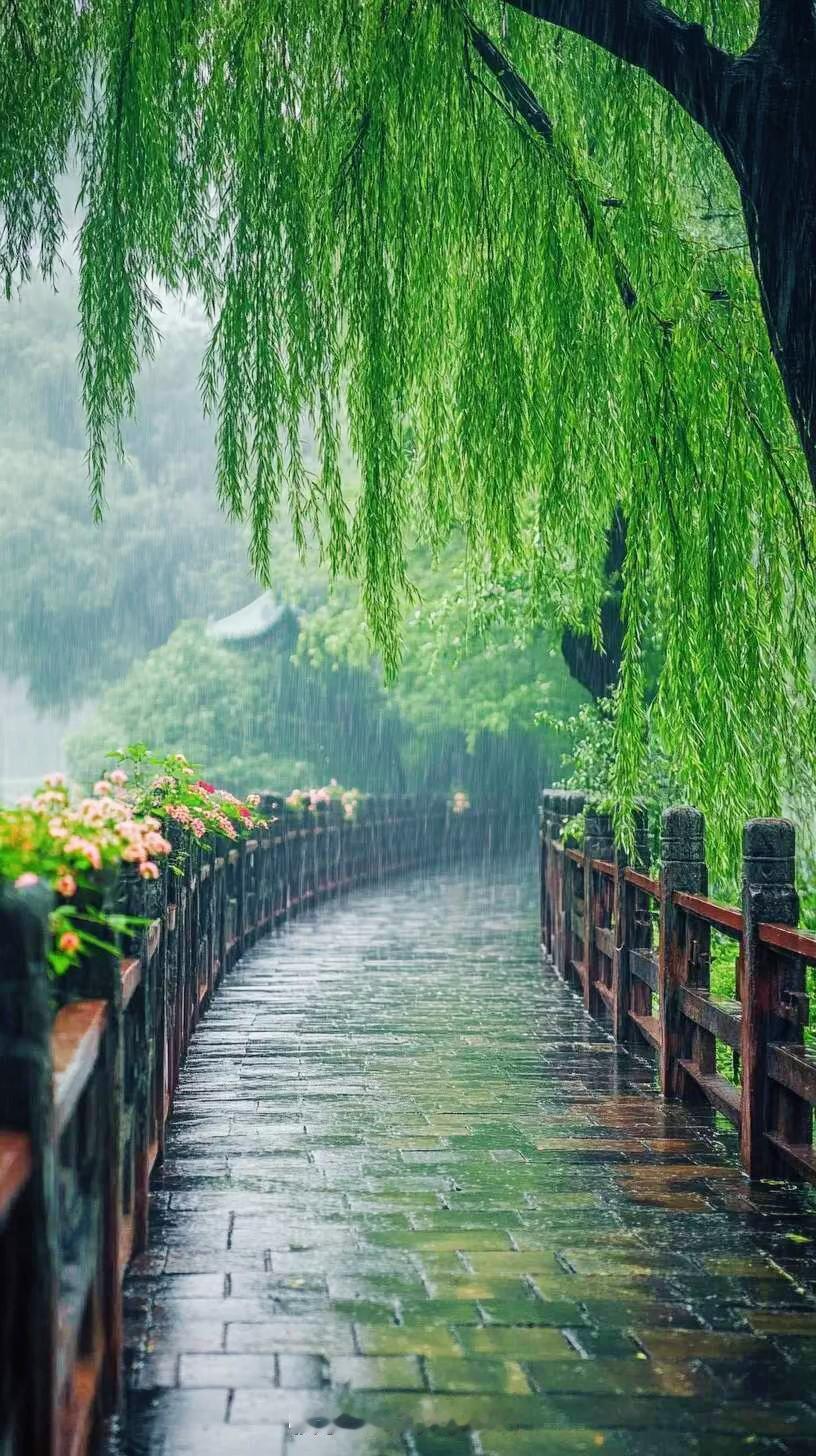 长时间下雨真的太让人崩溃了！出门买早点都成难题，得一边打伞一边拿早点，雨珠顺着伞