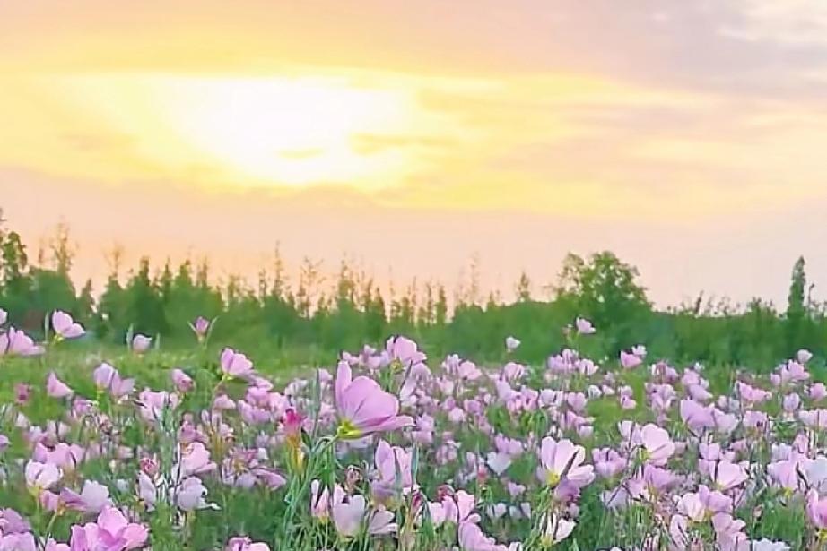 成年人的感情其实都有一点遗憾。

有时候你选择一个人踏踏实实过日子，那就算再遇到