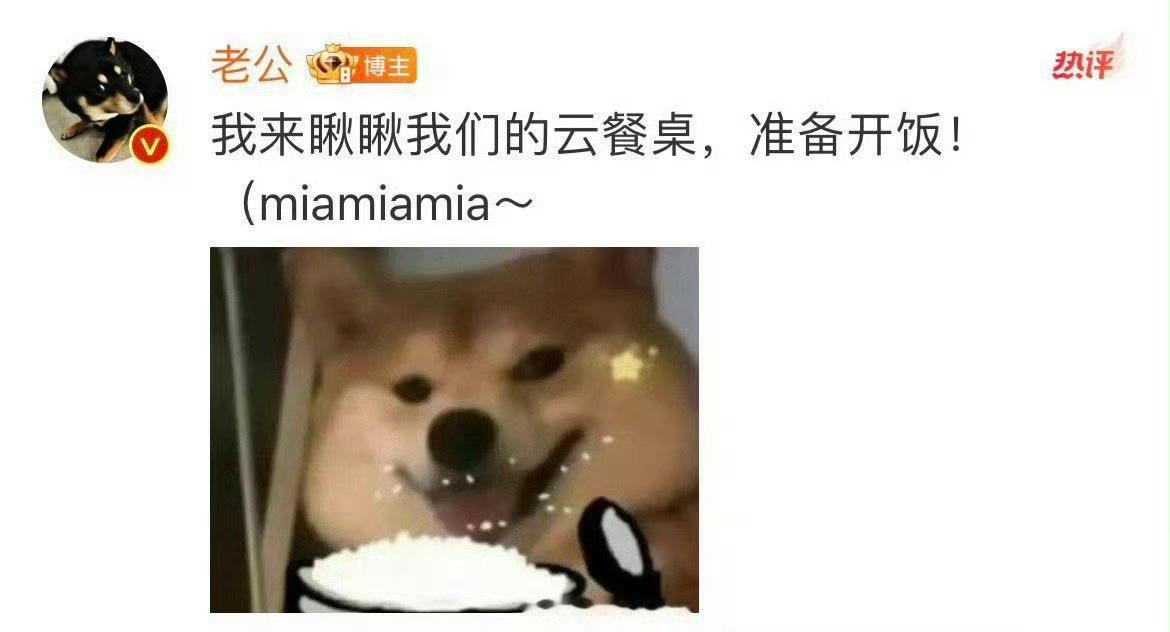 今天吃的饺子