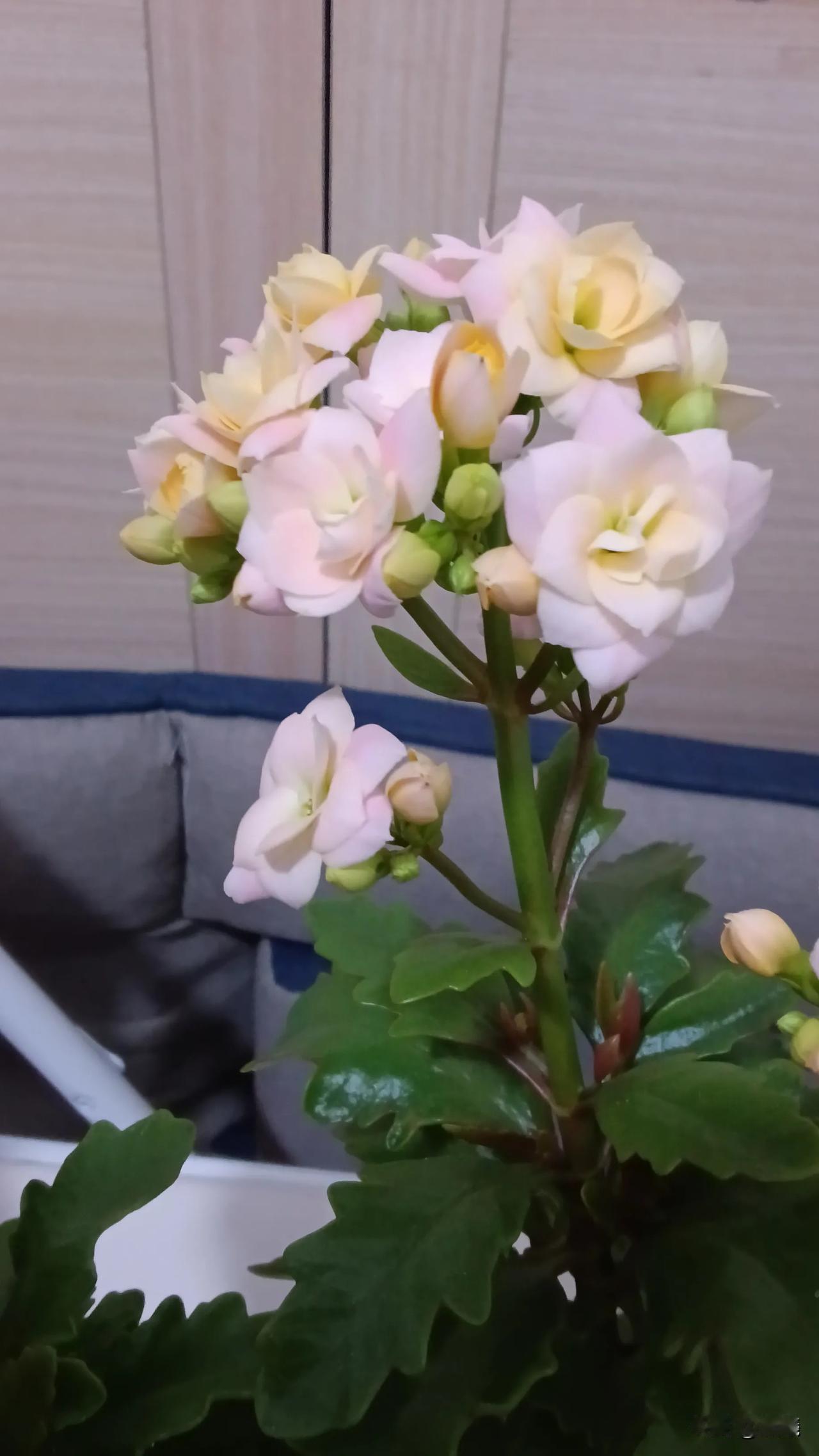 因为看到上联，想到了下联，也想到了一个让人心疼的故事。

小刘是我以前的同事，可