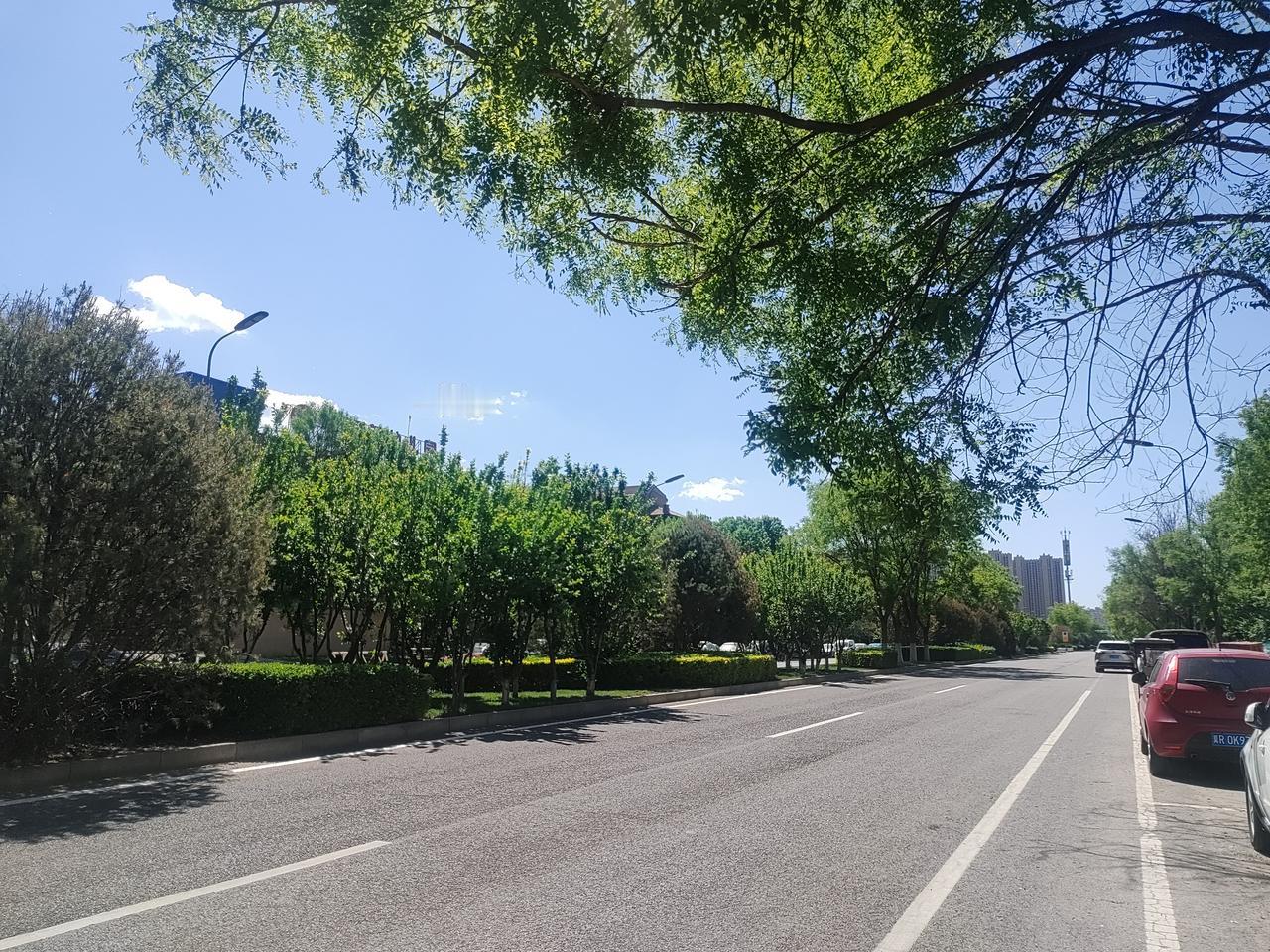 又是一周，谁有新鲜事说说，来互相串个门，互动一下