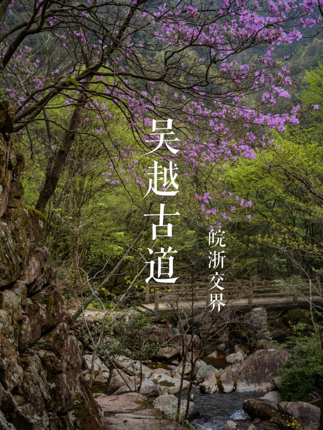 千顷关”吴越古道 | 华东名山录