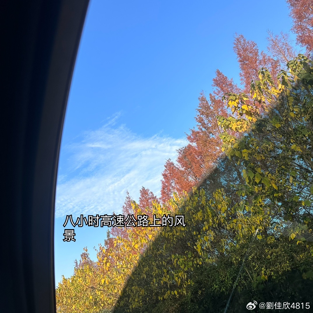 12🈷️上半章 ​​​