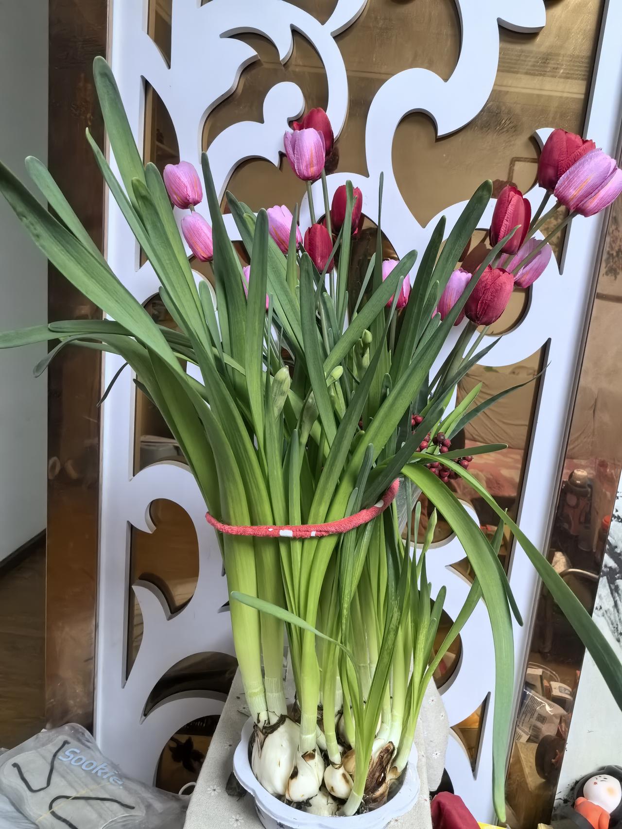 丙午马年，愿我们鲜衣怒马，不负韶华。
烟火起，照人间，举杯敬此年。
祝大家：福暖