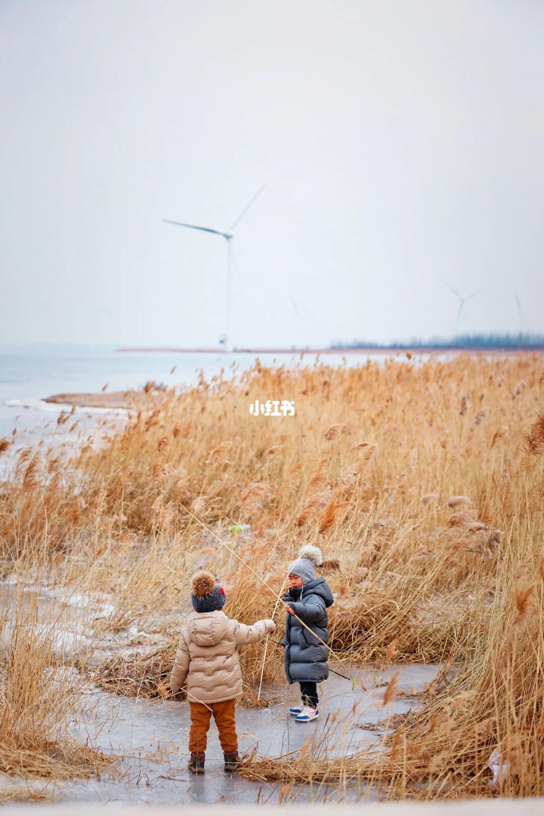 官厅赏冰+摘草莓+古龙路跑车🔜延庆冬季