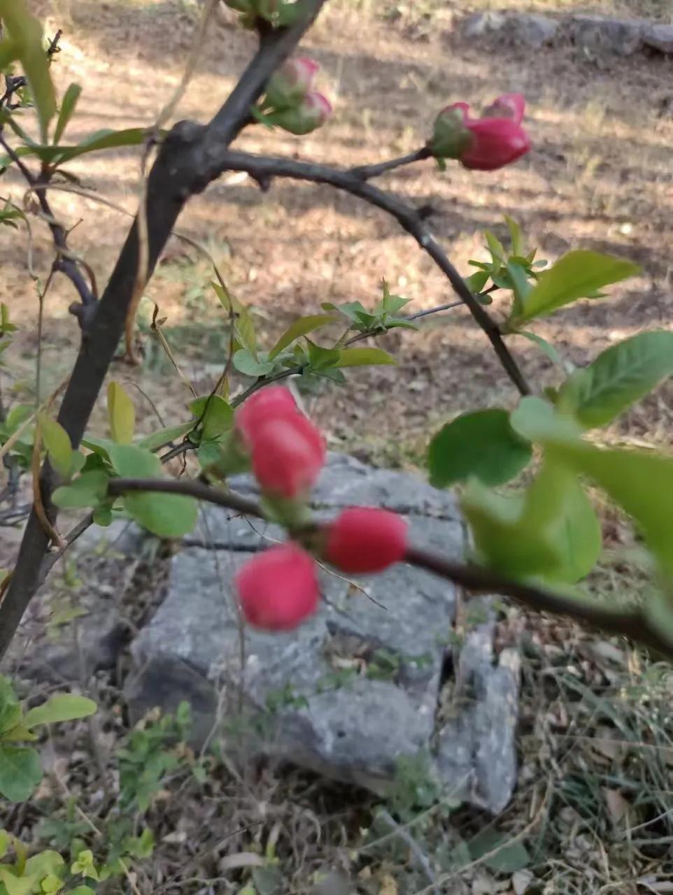 53岁真的是白活了，差点掉坑里。

我一直很普通，也看了很多普通人，用最质朴的方