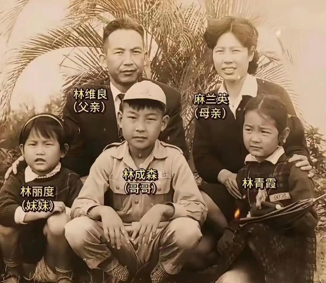 林青霞小时候的长相并不出众
林青霞小时候和父母、哥哥、妹妹的合照，长相一点都不出