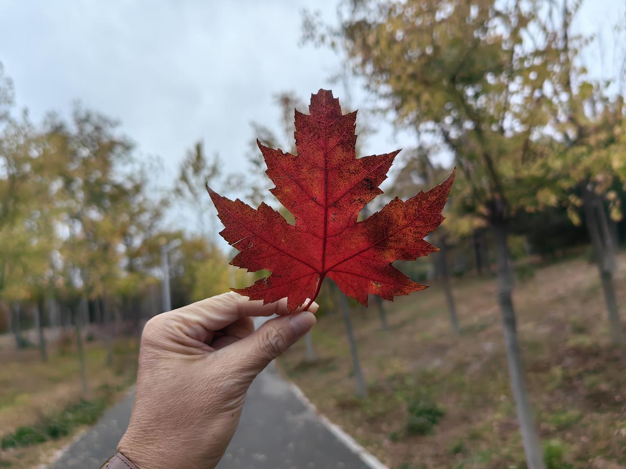 下联：趣，添趣，添真趣

当人能静下心来才会写诗。在写诗中发现趣味。这幅下联以“