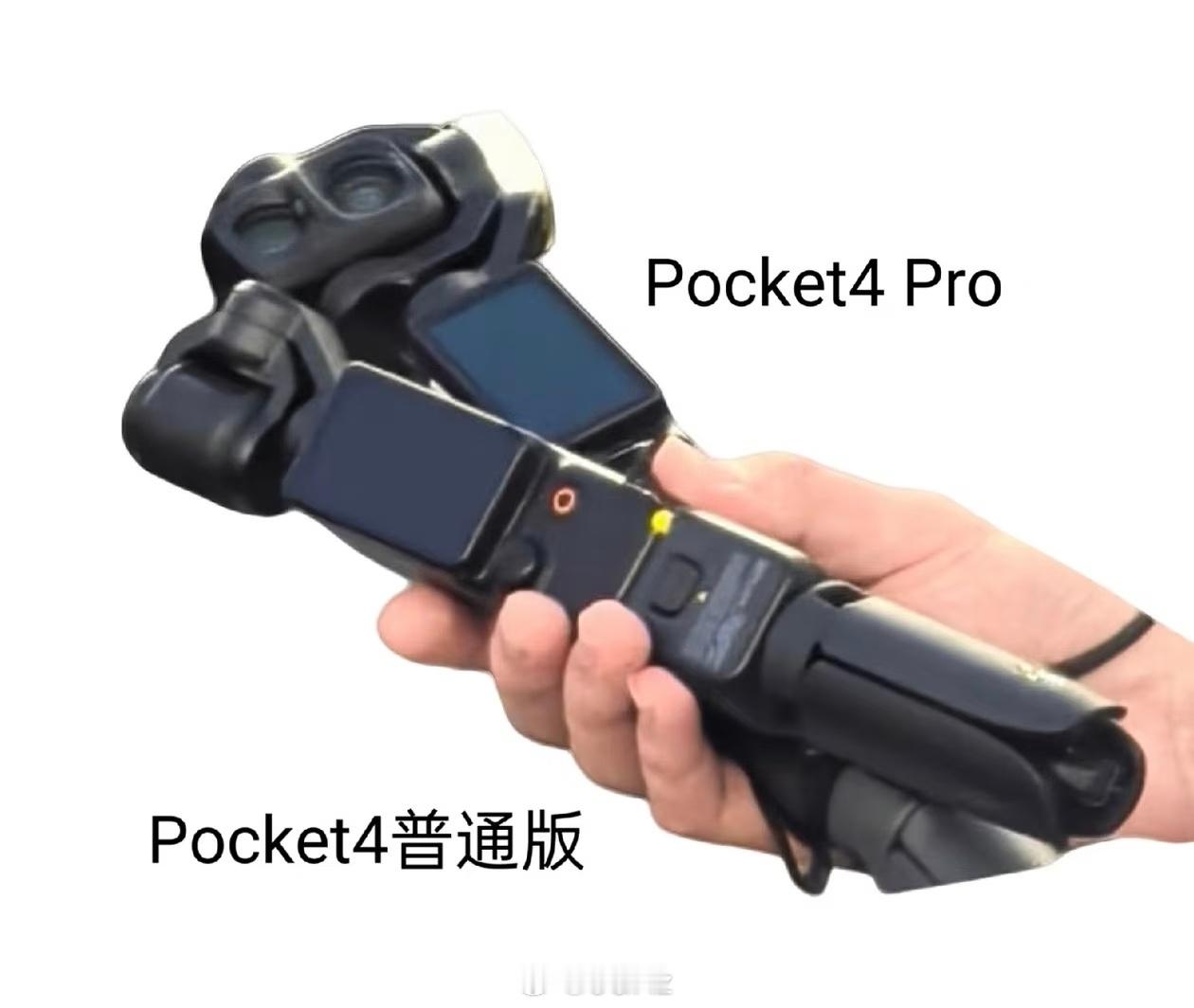 pocket4Pro谍照来啦
