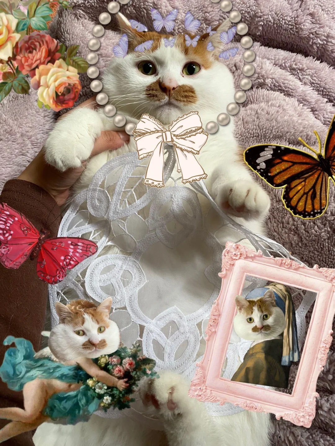 蕉蕉的表妹在名古屋拍的写真集