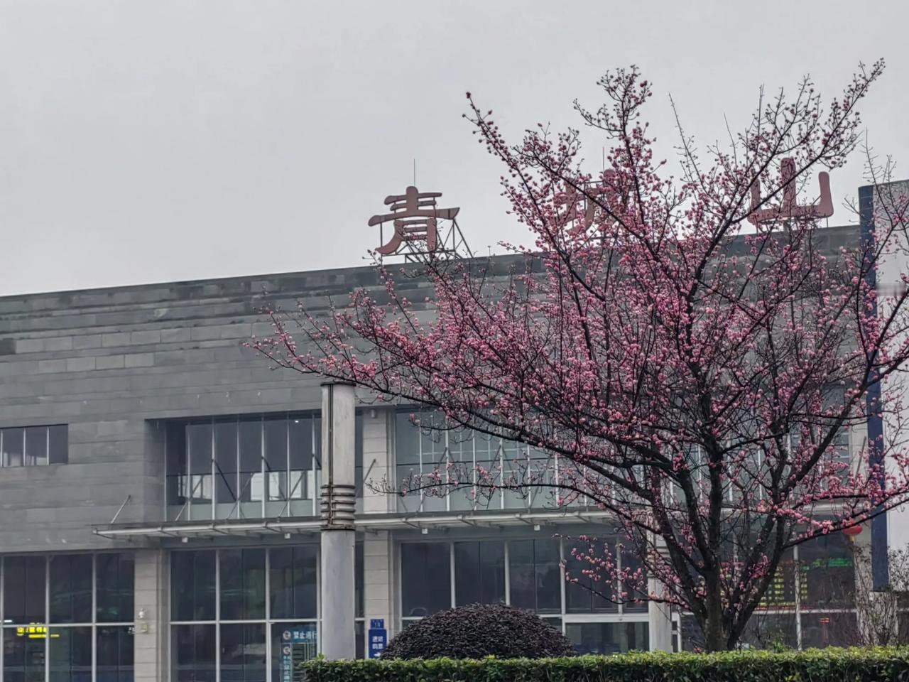 2月18号，雨水节气，成都的天儿特别应景，下起了牛毛细雨。
       按照行