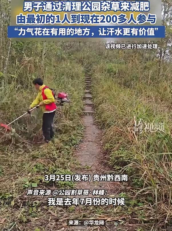这名男子火了！贵州黔西南，一男子跑步减肥时发现公园里面杂草丛生，想着反正都要减肥