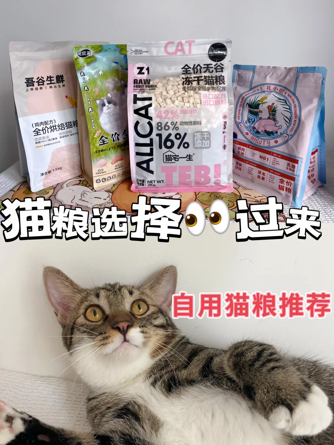 猫粮选择看过来-自用猫粮推荐