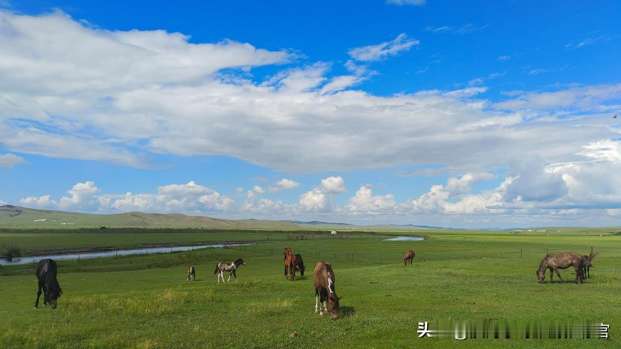 🌿 夏季漠河-阿尔山-呼伦贝尔 | 10日北国仙境之旅 🌿
✨ 极致体验
✔