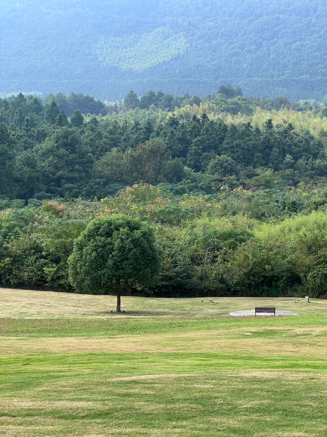 上海周边游｜领证纪念日这天拍到了人生照片