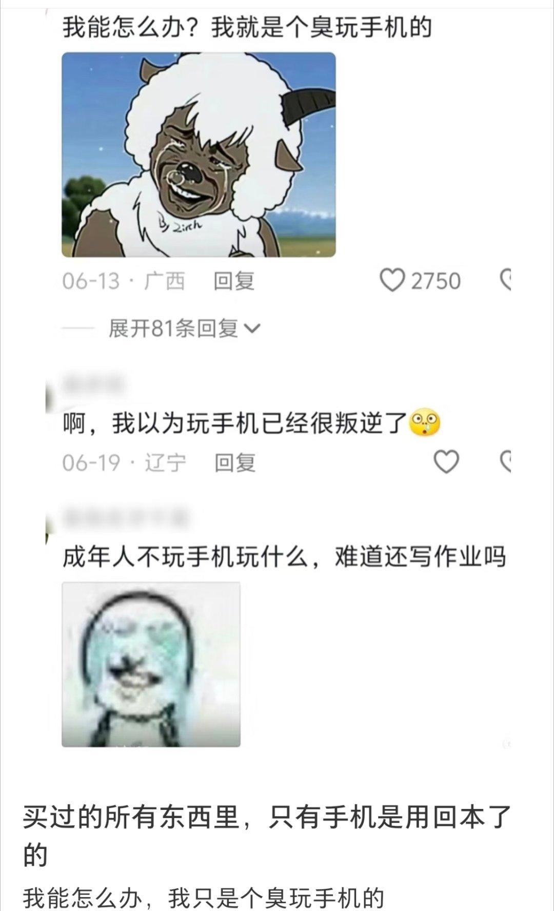 手机是我买过最回本的东西了这真的是大实话。笔记本平板也买了，可现在玩的都很少，笔
