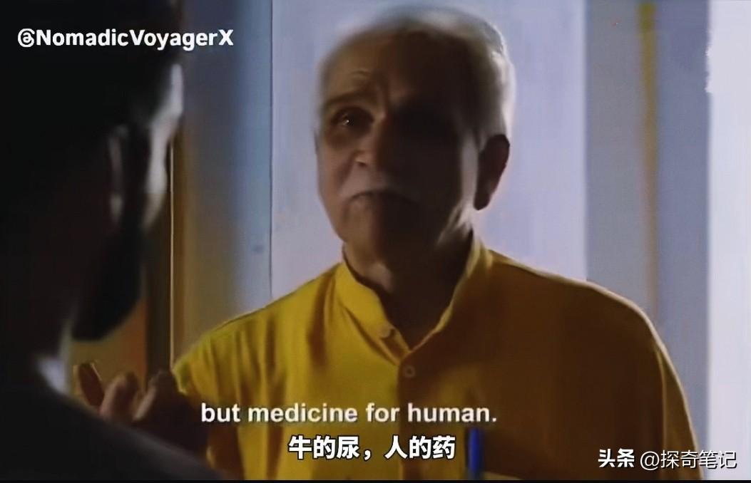 在印度，牛尿和牛粪可不是什么废弃物。牛尿被称作“液体黄金”，正所谓：“牛的尿，人