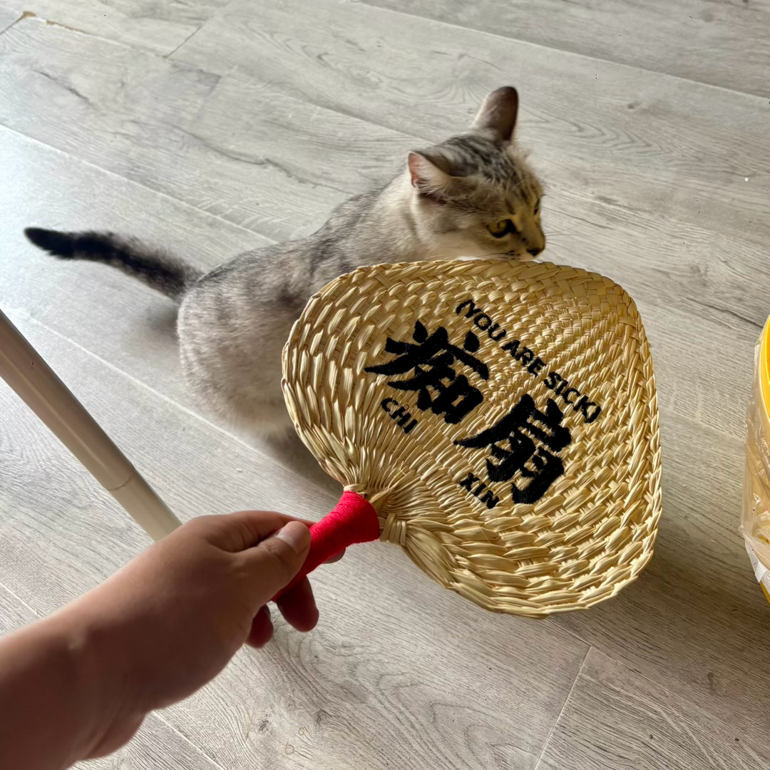 少一点东奔西跑和宅家重修旧好猫咪哼哼猫咪叫叫阴晴不定也是好天气淋湿头发晒干一朵叫