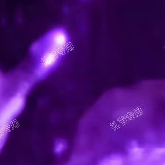 沈星回 专注蛔蛔！ 