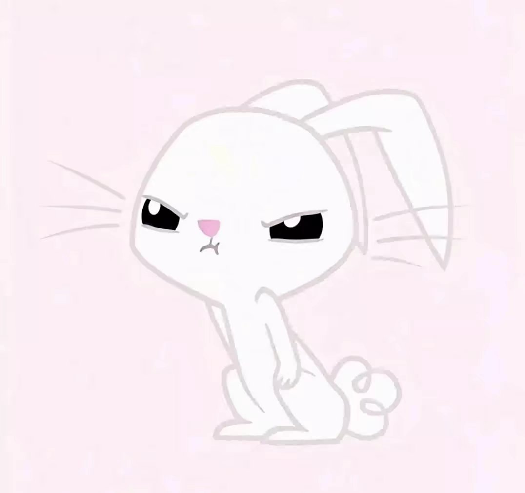 兔子🐰 
