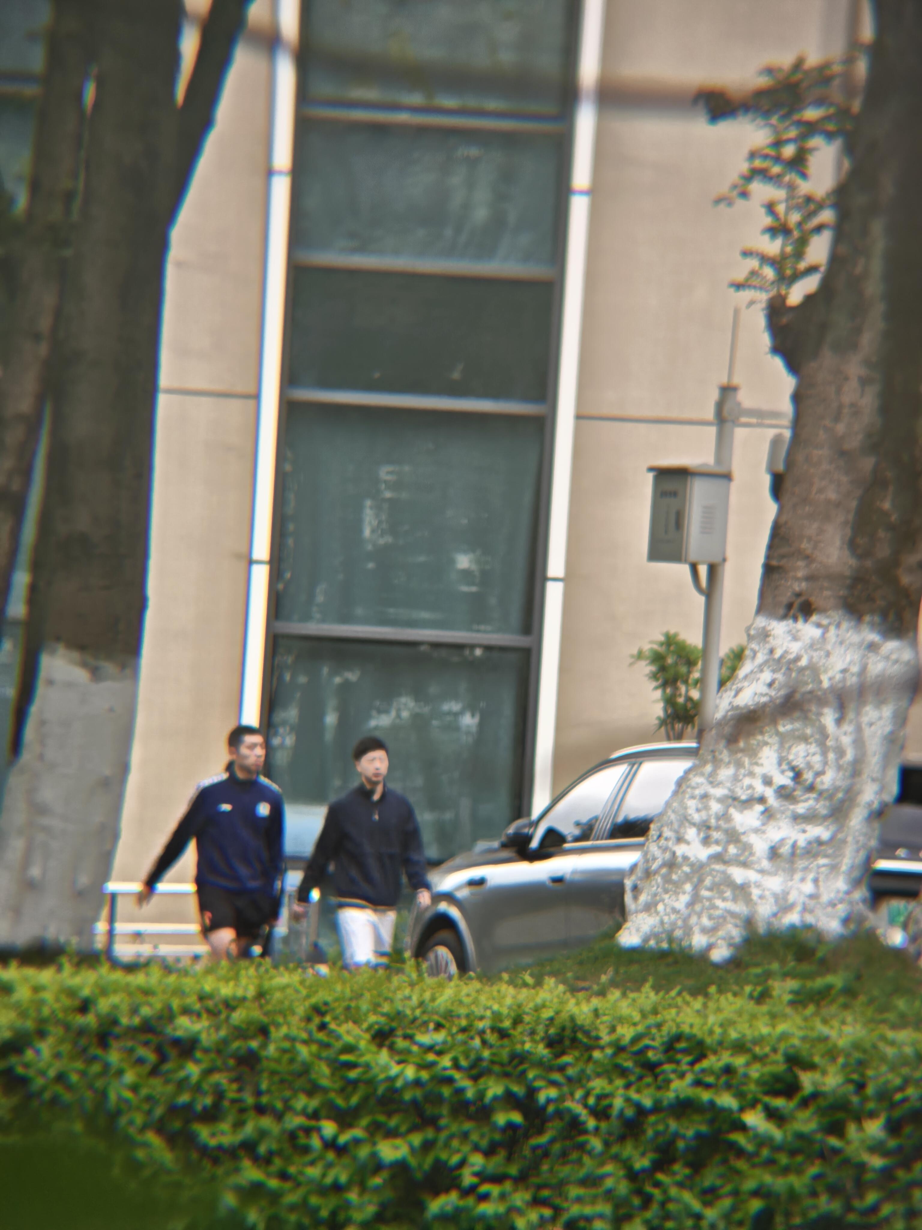 马龙许昕成都封训同框，伟大的龙蟒！ 