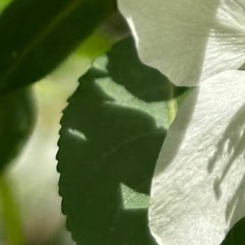 每日一善   每日一善   阳光信用 笑对生活是一种态度，善待人生是一种境界。感