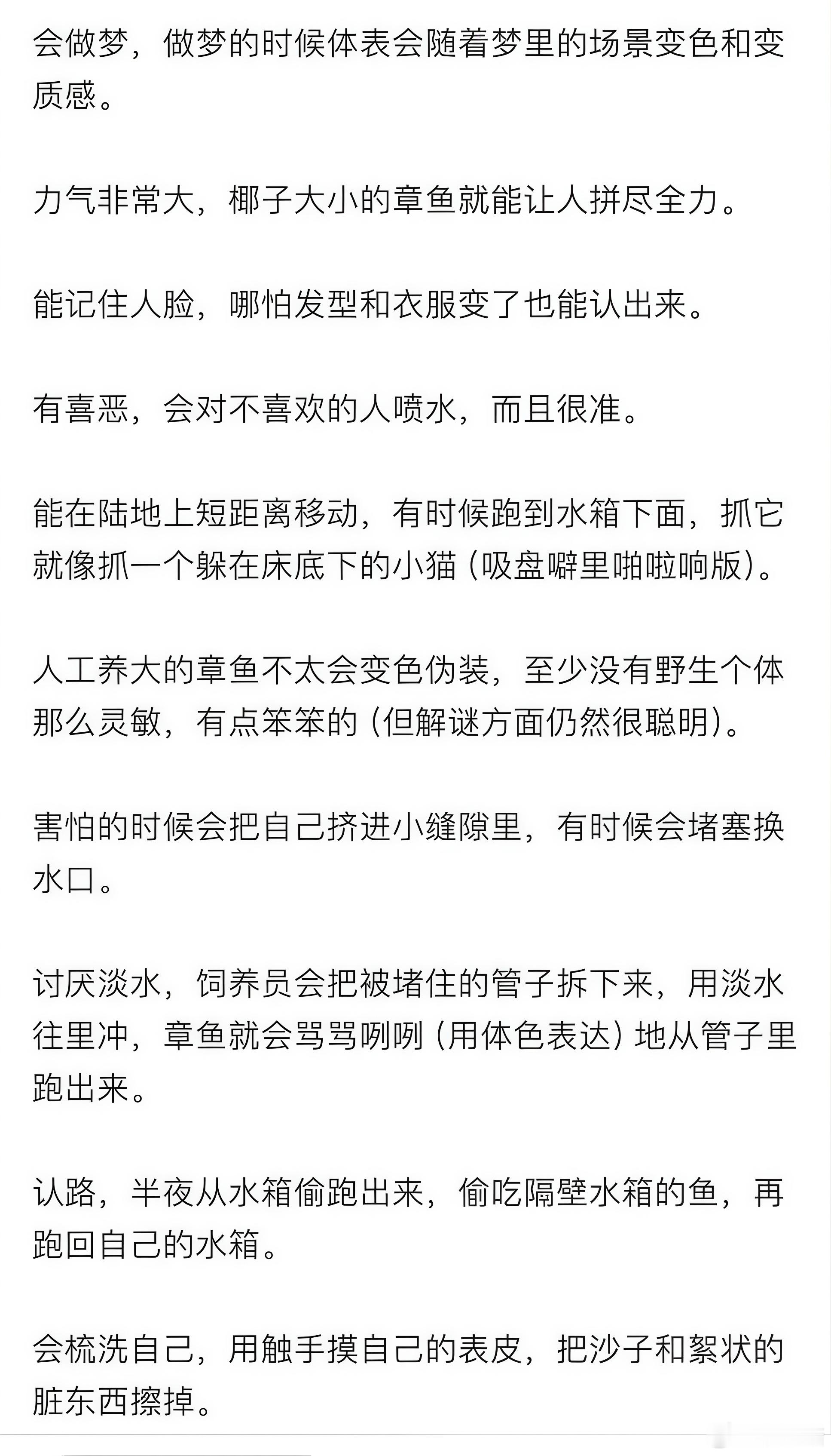 我要让全世界知道章鱼的可爱之处 