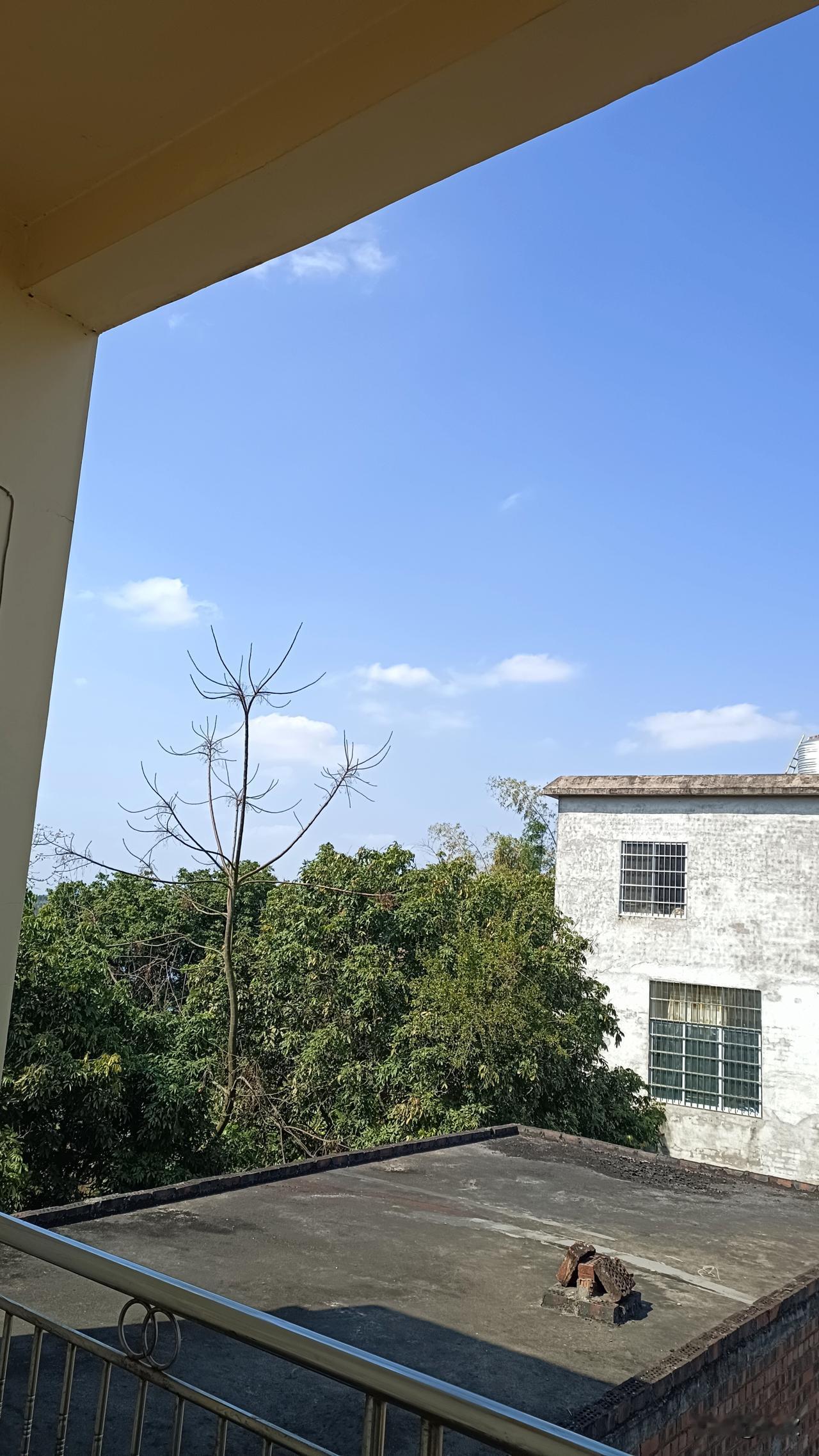 还有九个半小时就是除夕夜啦，这时间过得跟开了倍速似的！除夕，那可是一年里最有氛围