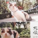 桁影