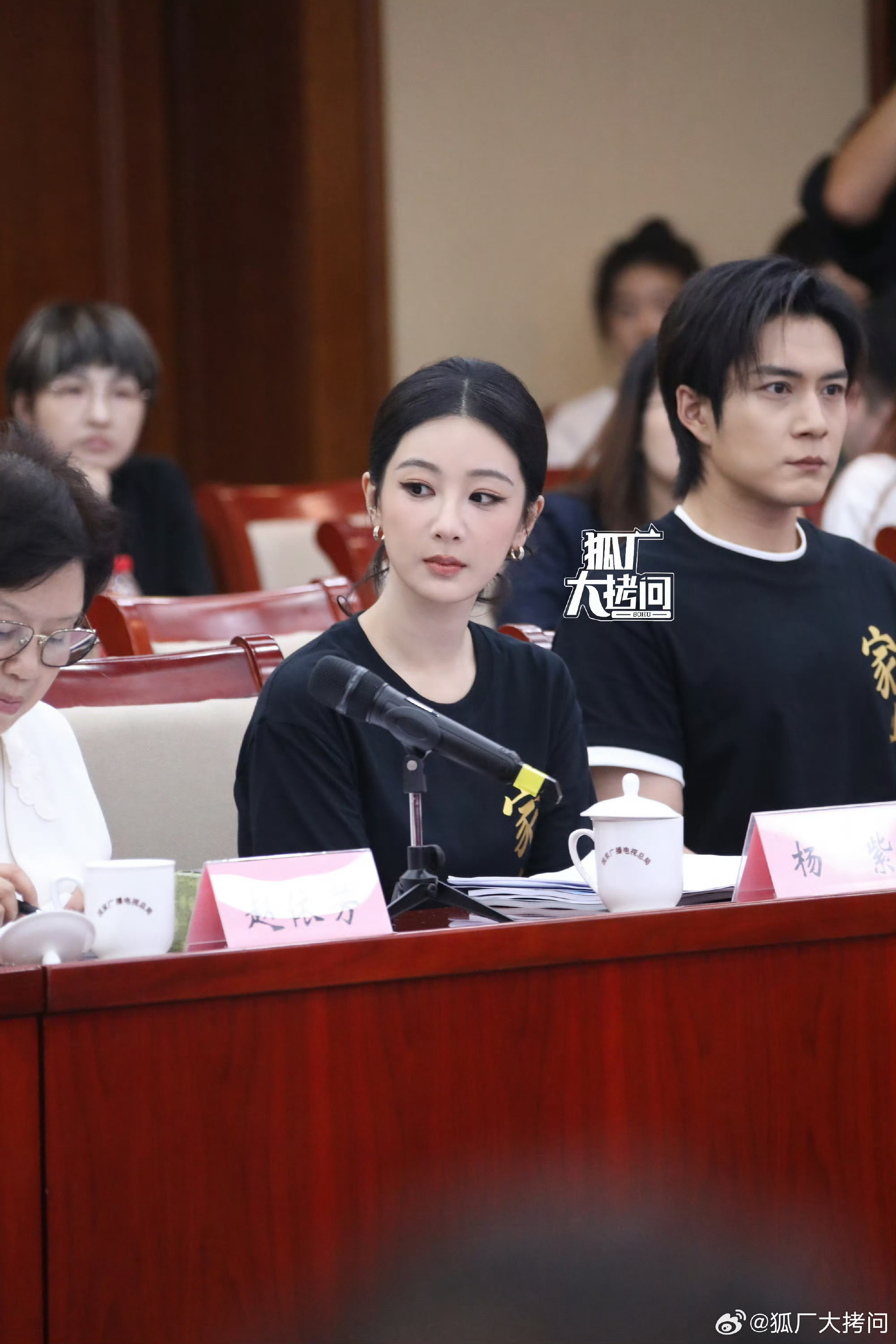 家业座谈会的杨紫杨紫家业座谈会生图 端庄得体的紫现身家业座谈会 