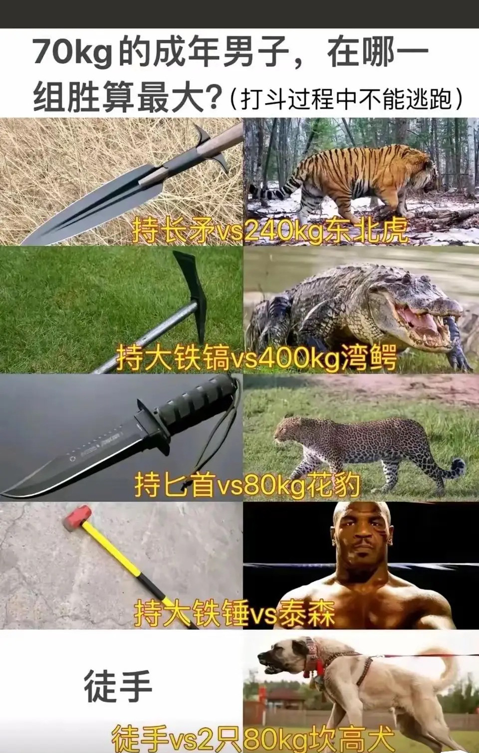 哪一个存活几率大？ ​​​