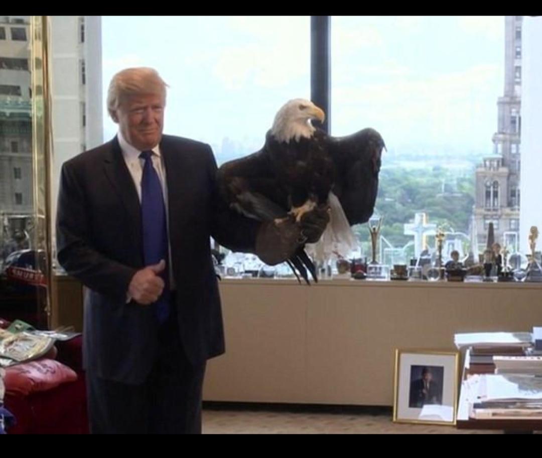 怎么还“狂怒”起来了？
        懂王可能不知道，中文网络用语里“狂怒”前