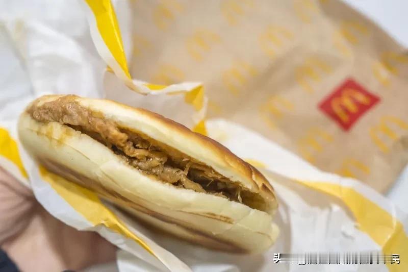 今天在科技西路绿地花都楼下买了个肉夹馍，竟然要13块，而且那个馍还是正常的白吉饼