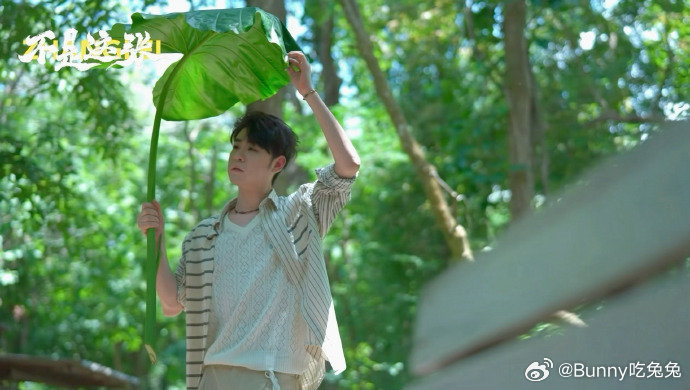 张云雷戴了一头鸟 从安静等待到被小鸟包围，每一帧都满是随性自在的松弛感。 