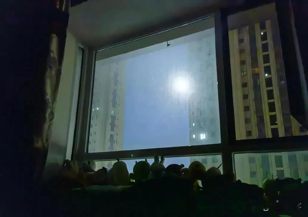 父亲节，老公很得瑟
﹍﹍
今天，是父亲节。
老公起的很早，他知道孩子们会回来，就