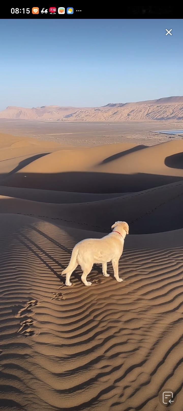 你觉得妈宝男有主见吗? 怎么会没主见呢？在妈宝男眼里，女方做什么都是错的，这难道