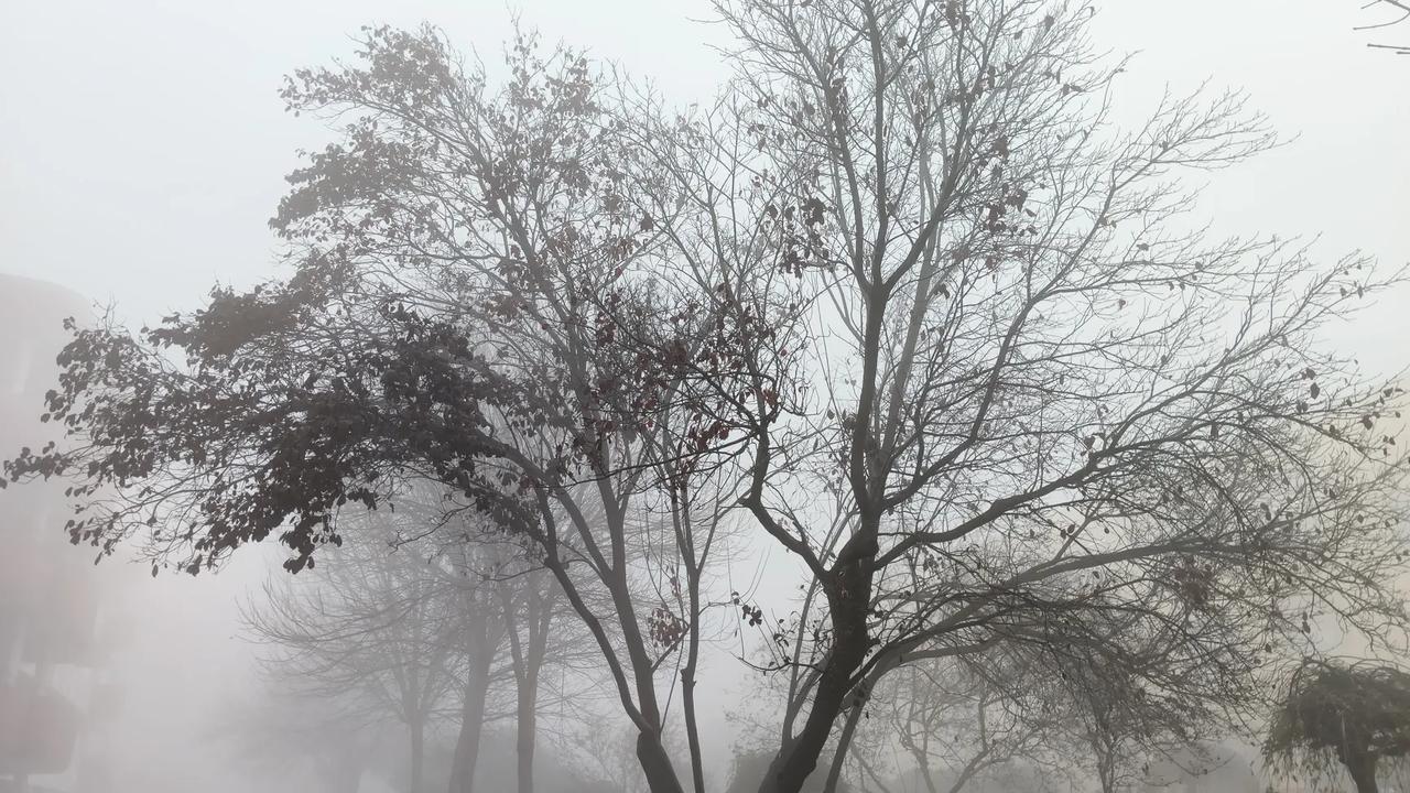 我把实拍图翻转一个方向。
我看见的风景是另一种模样。
但大雾的实质并没有改变。