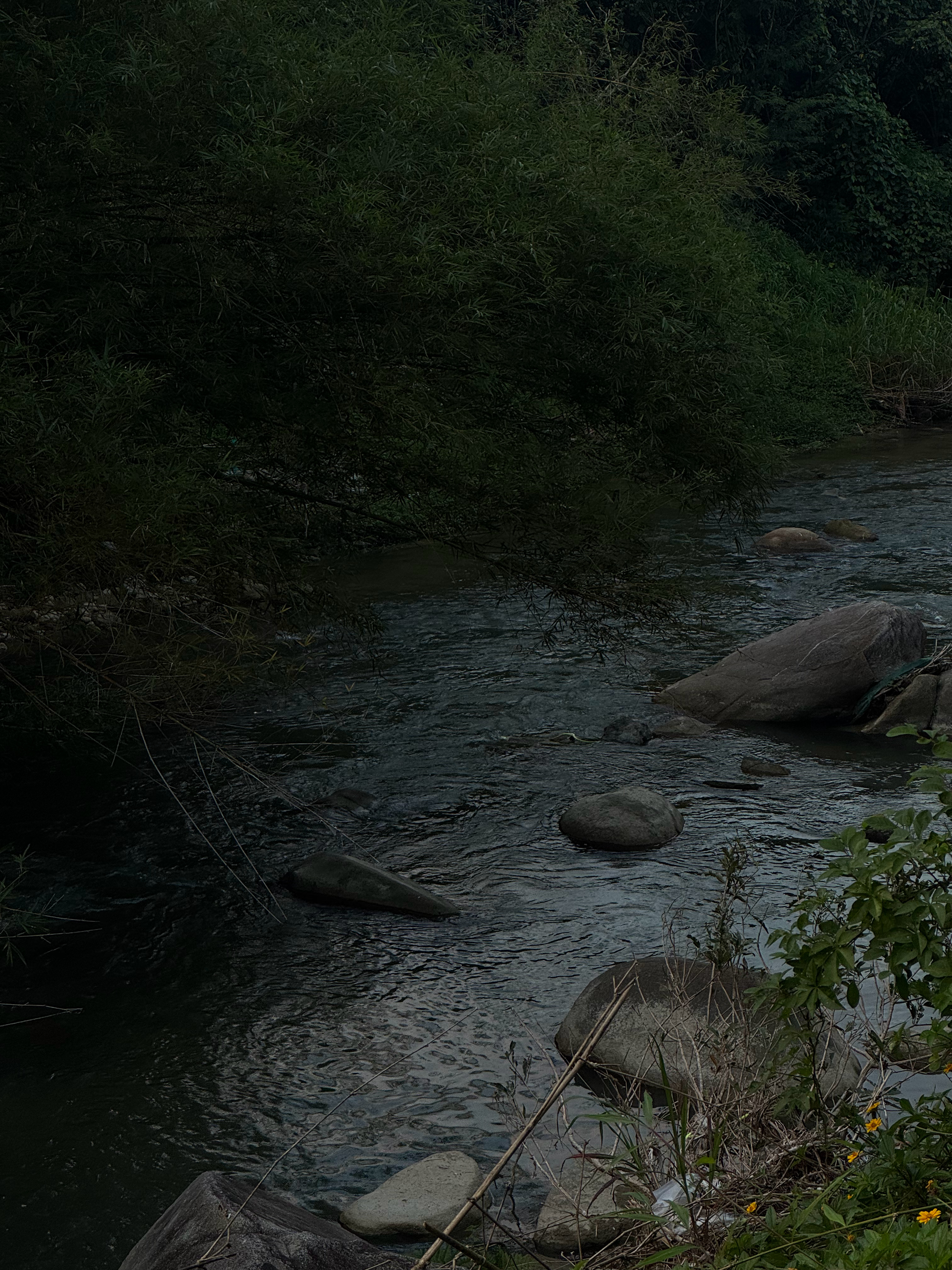 分享图片 ​​​