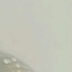 阳光信用  0800善良——人所固有的善良，这些东西唤起我们一种难以摧毁的希望，