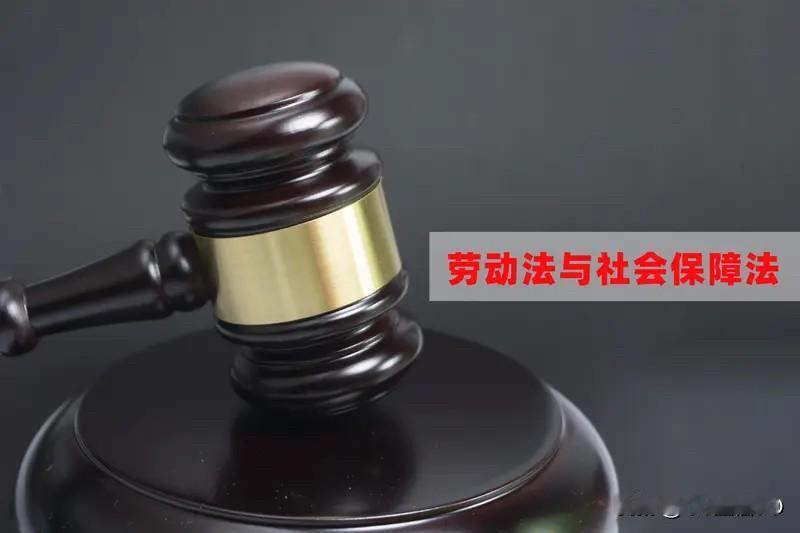 社保制度的发展就像一场持续升级的游戏，不断朝着更完善、更有保障的方向前进。从历史