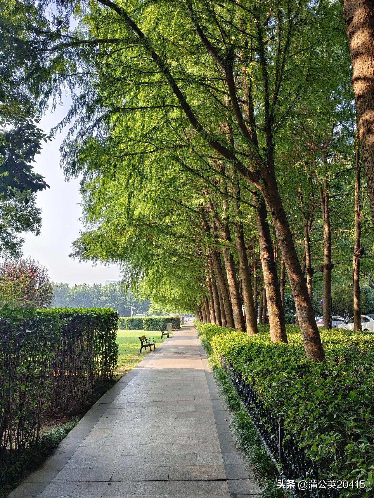 #寻找热爱表达的你#
你发现了吗？

在头条里互动点评是最平常不过的一件事了，通
