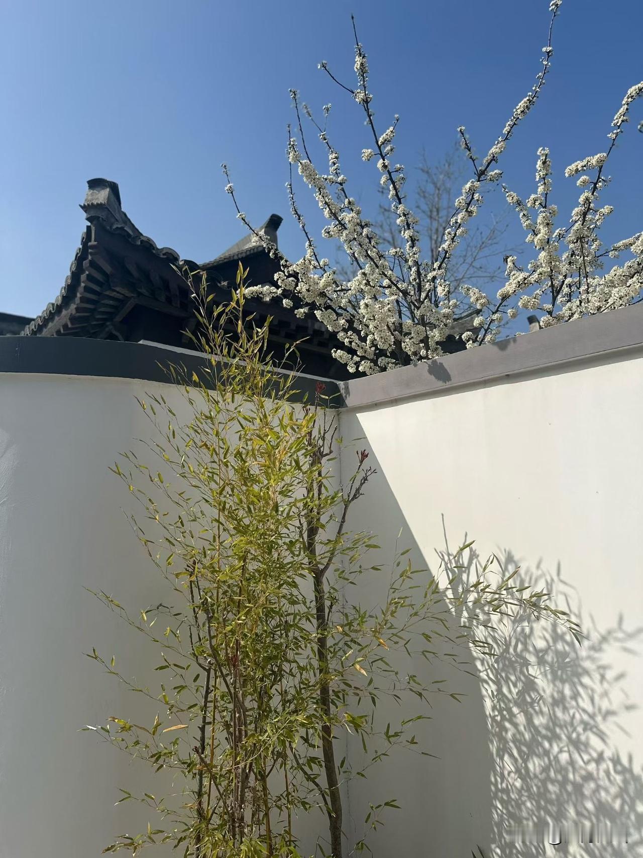 为啥你辛辛苦苦卖货、做副业，就是没人买单？不是产品差，也不是不努力，是根本没摸透