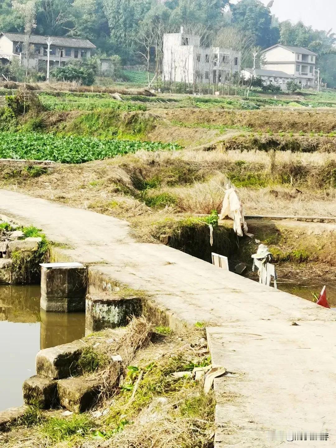 肖家榜桥位于自贡市大安区牛佛镇群星村四组，横跨双龙桥河，是一座两墩三孔的清代石板