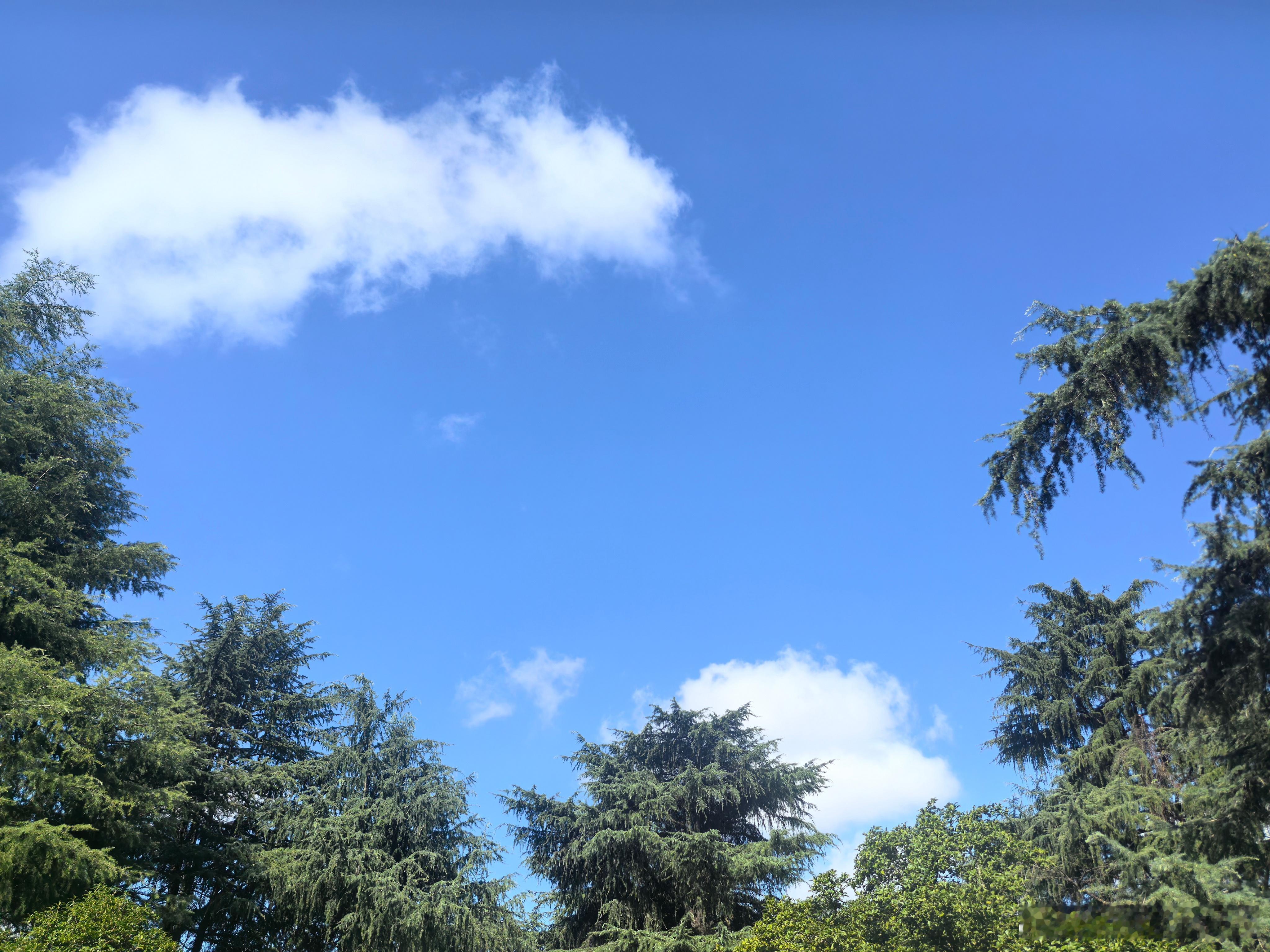 一个人真正的底气是：你沉淀的阅历、提升的能力、开阔的格局、纯净的气场、扎实的努力