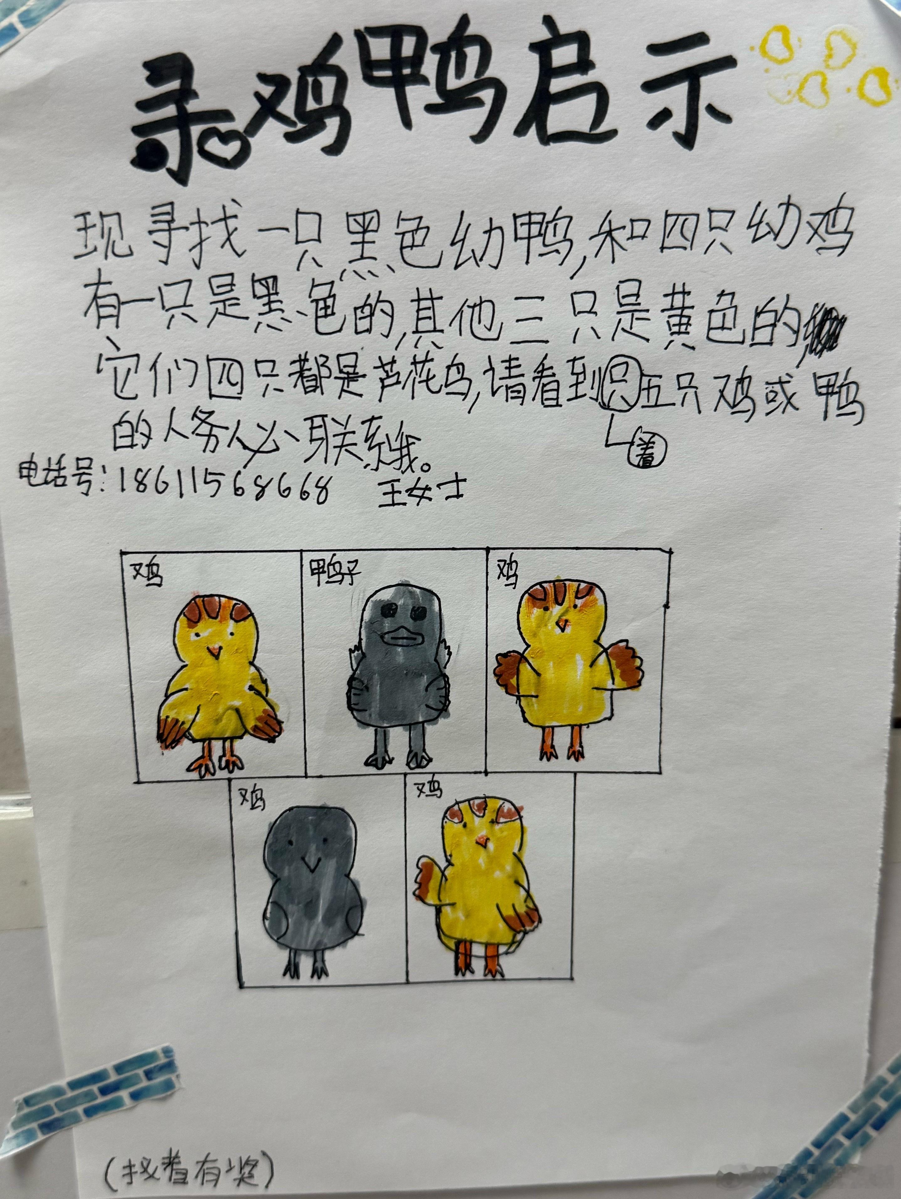 今早出门，在电梯里看到的被萌翻了～我的日常plog ​​​