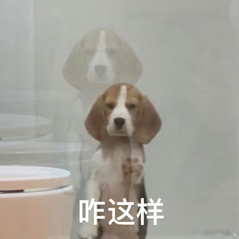 最近新来的这个学员应该是我见到的对减脂最没有知识储备的学生了。她开口就是：什么！