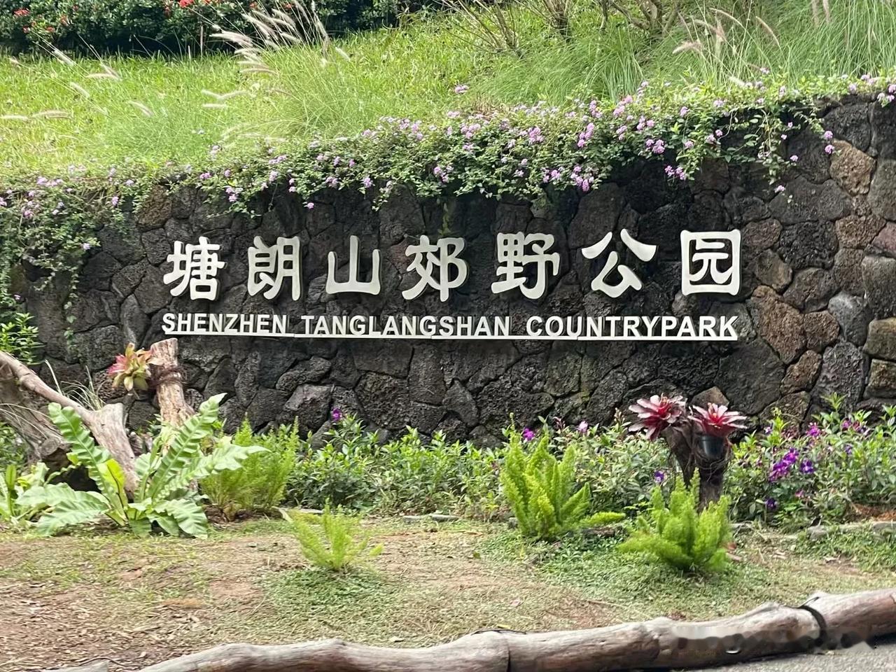 2024年，是充满变化与感悟的一年。作为北京的一名努力的人，在忙碌的工作之余，也