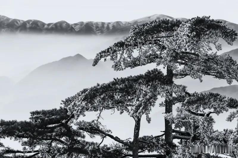 上联：雪落苍松劲
下联：风清皓月幽
上联：仄仄平平仄
下联：平平仄仄平
分析：上