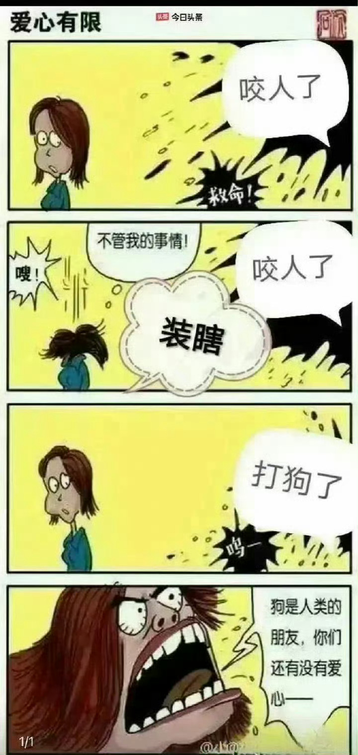 湖南2岁宝宝被流浪狗撕裂面部爱狗人士208有一个算一个，狗咬了人装作看不见，踏马