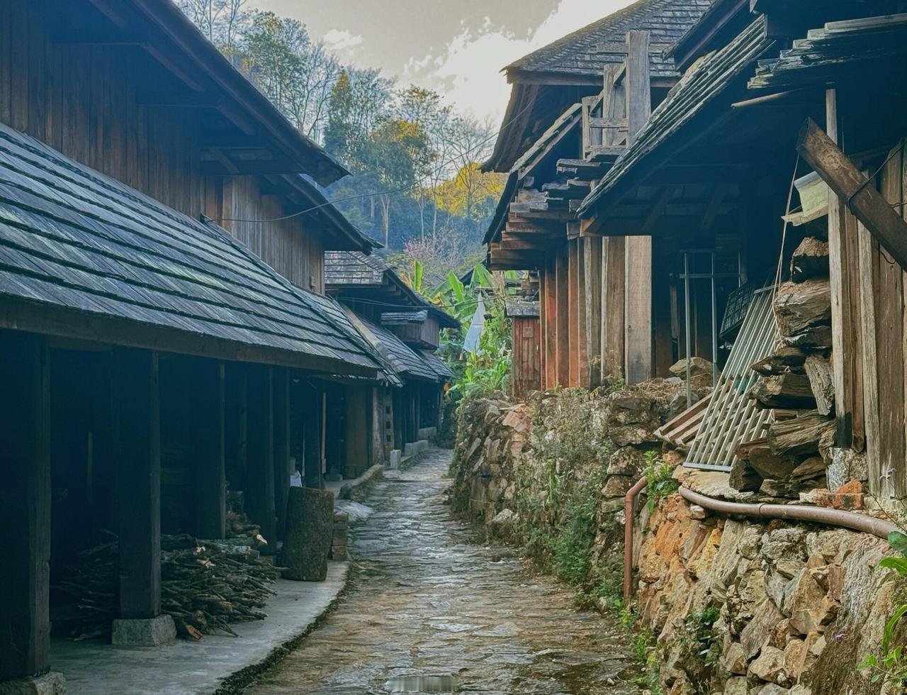 古砖、古瓦、古石板、古木屋，还有古老的石磨石碓窝。
    周末，我领着妻子去访